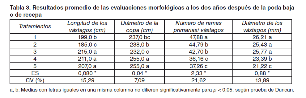 Tabla 3. Resultados promedio de las evaluaciones morfológicas a los dos años después de la poda baja o de recepa