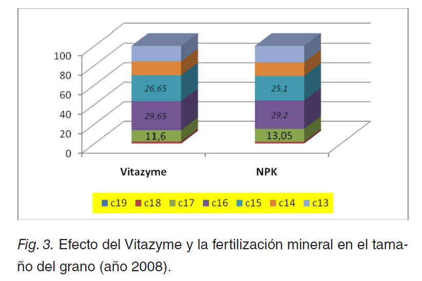 Fig. 3. Efecto del Vitazyme y la fertilización mineral en el tamaño del grano (año 2008).