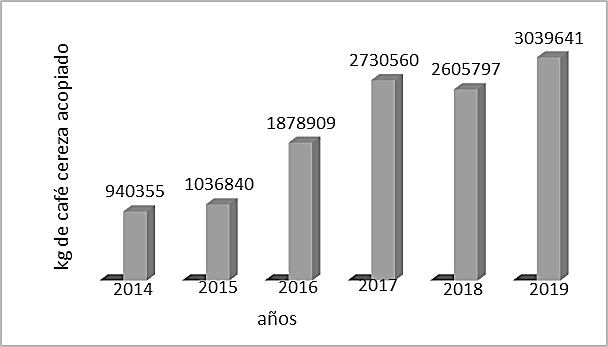 Cantidad de kg de café cereza acopiado desde el 2014 hasta el 2019.