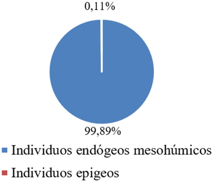 Figura 1.  Proporción de las categorías ecológicas en relación al número de individuos oligoquetos colectados.