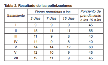 Tabla 2. Resultado de las polinizaciones