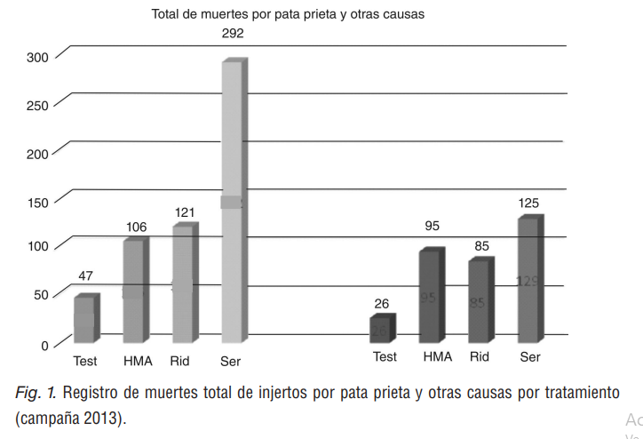 Fig. 1. Registro de muertes total de injertos por pata prieta y otras causas por tratamiento (campaña 2013).