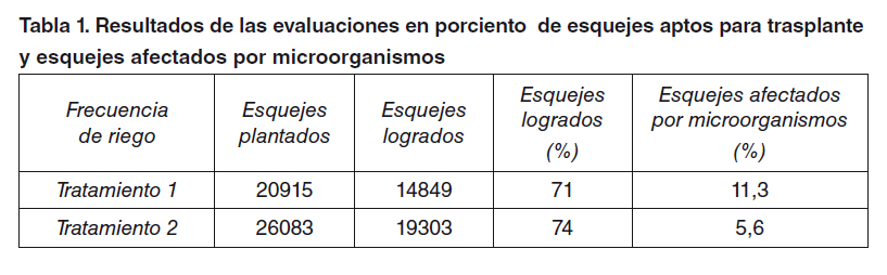 Tabla 1. Resultados de las evaluaciones en porciento de esquejes aptos para trasplante y esquejes afectados por microorganismos
